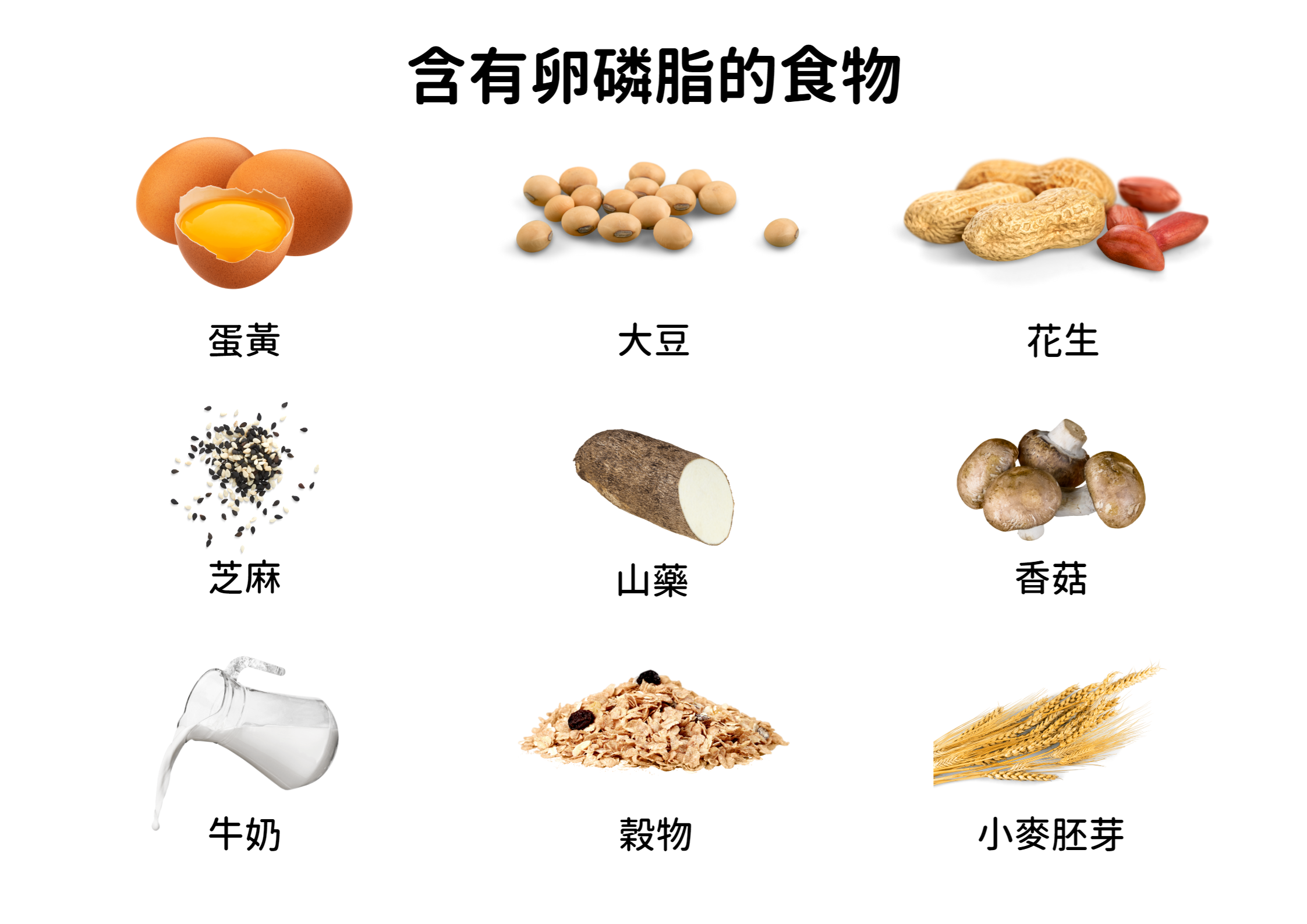 大豆 卵 磷脂 食物 來源