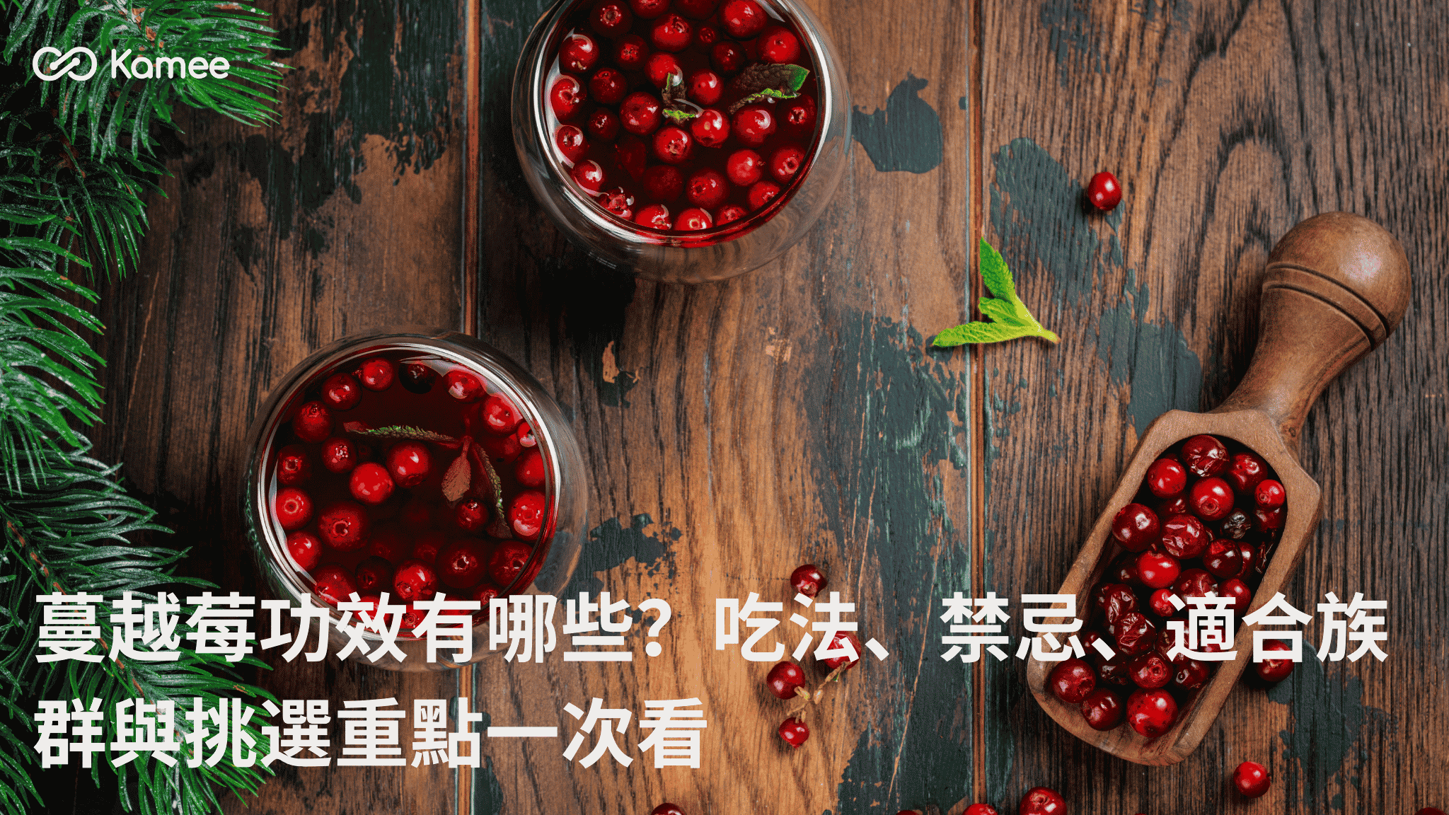 蔓越莓功效、吃法、禁忌與適合族群完整指南
