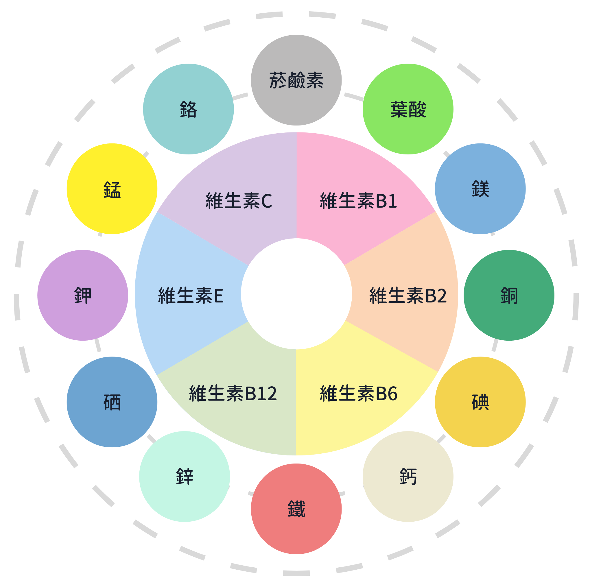 綜合維他命常見成分示意圖，包含維生素B群、維生素C、維生素E，以及鈣、鐵、鋅、鎂、碘、葉酸等多種維生素與礦物質，幫助日常營養補充