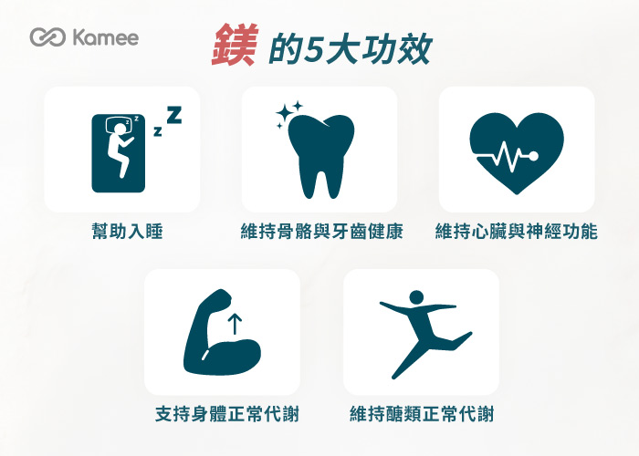 鎂的5大功效，包括幫助入睡、維持骨骼與牙齒健康、維持心臟與神經功能、支持身體正常代謝與維持醣類正常代謝
